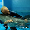 Алексей, 52, Россия, Сочи