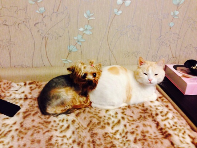 Berezka, Россия, Москва. Фото на сайте ГдеПапа.Ру