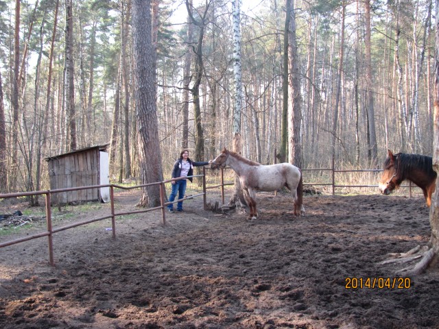 Подошла познакомиться))