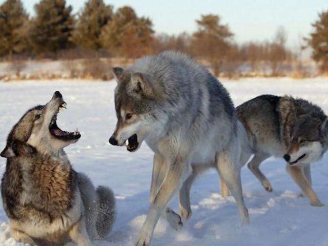 Руслан, Россия, Геленджик. Фото на сайте ГдеПапа.Ру