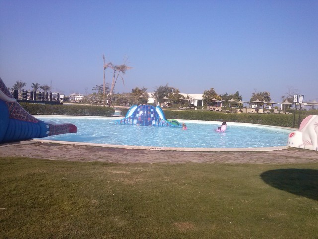 Надежда, Россия, Санкт-Петербург. Фото на сайте ГдеПапа.Ру