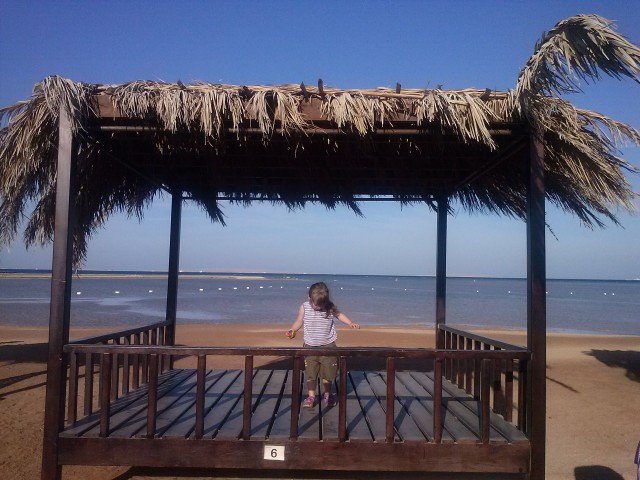 Надежда, Россия, Санкт-Петербург. Фото на сайте ГдеПапа.Ру