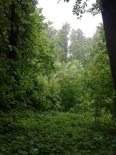 Елена, Россия, Москва. Фото на сайте ГдеПапа.Ру