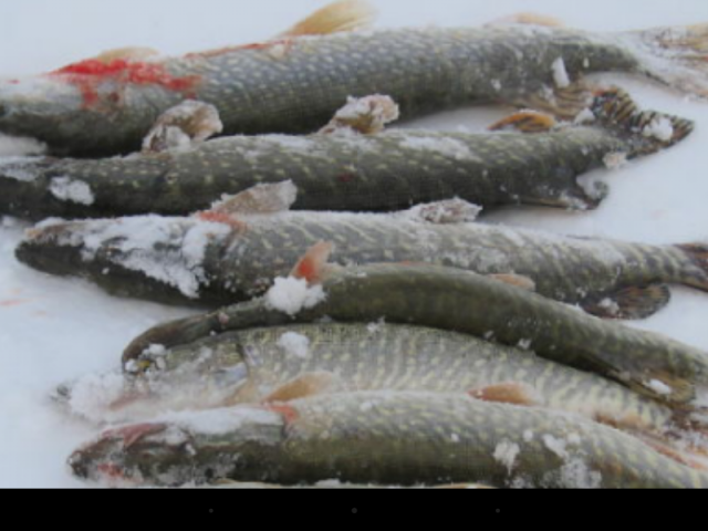 валерий, Россия, Курган. Фото на сайте ГдеПапа.Ру