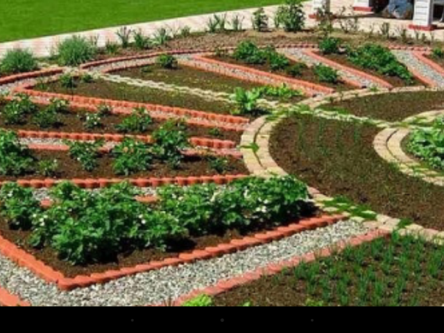 Люблю выращивать овощи !зелень!и все остальное!