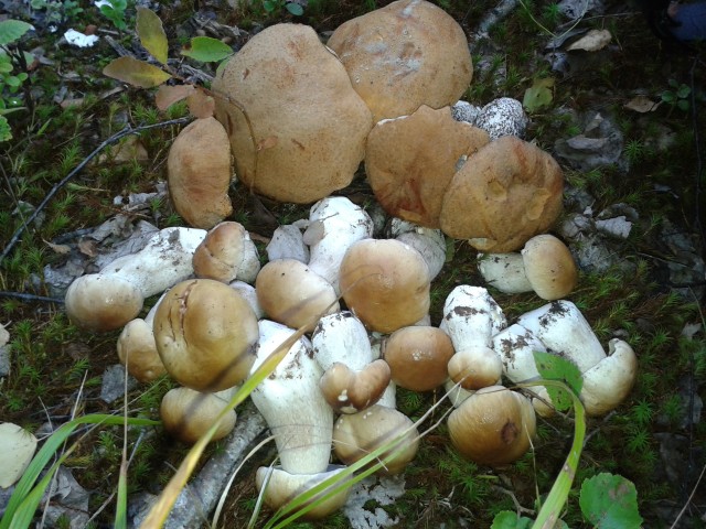 антон, Россия, Рыбинск. Фото на сайте ГдеПапа.Ру