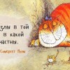 Кошка в кедахХ, Санкт-Петербург, м. Озерки, 45