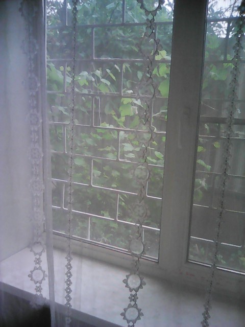 окно из зала,вид на виноградник