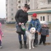 Олеся, Россия, Железногорск. Фотография 315718