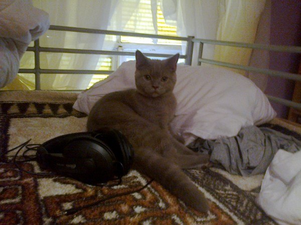 Мария, Россия, Санкт-Петербург. Фото на сайте ГдеПапа.Ру