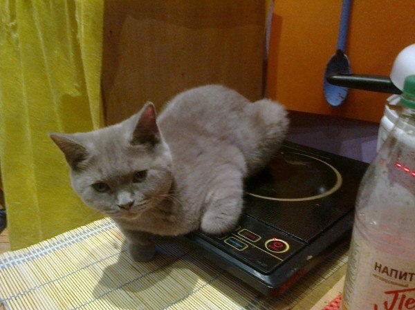 Мария, Россия, Санкт-Петербург. Фото на сайте ГдеПапа.Ру