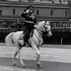 Блохастик, Тюряга форума, 64 года
