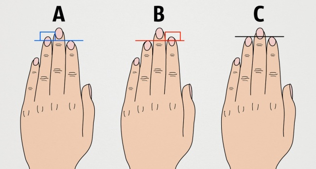 Характер по длине пальцев рук