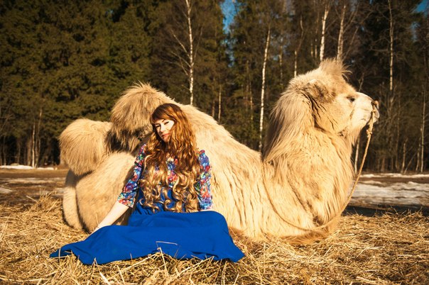 Алина, Россия, Королёв. Фото на сайте ГдеПапа.Ру