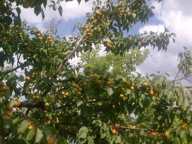 Игорь , Россия, Севастополь. Фото на сайте ГдеПапа.Ру