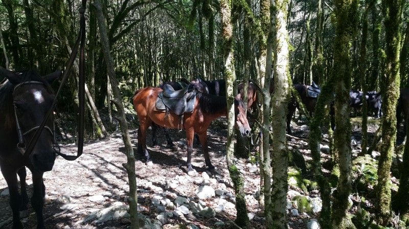 И всё же Абхазия...