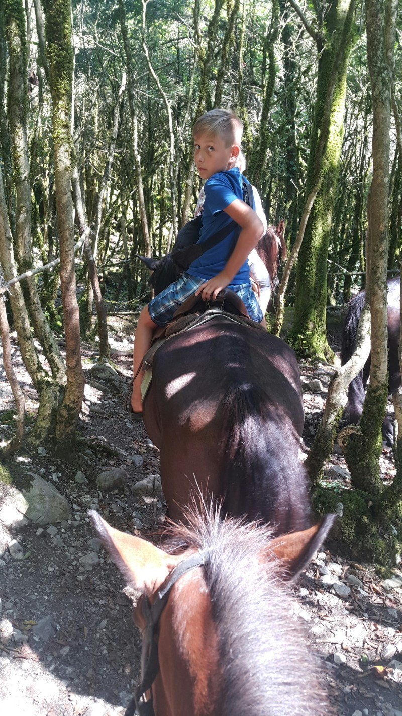 И всё же Абхазия...