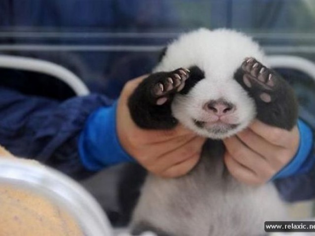 дмитрий, Москва, 46 лет, 1 фото. ))))))))))