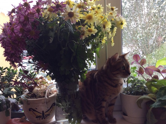 Лиля , Россия, Самара. Фото на сайте ГдеПапа.Ру