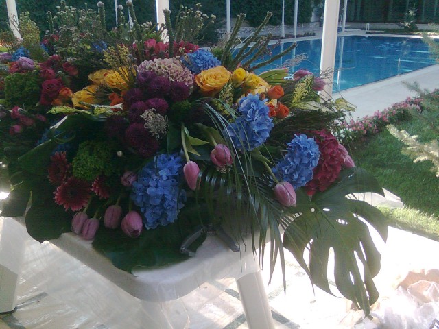 Люба, Россия, Раменское. Фото на сайте ГдеПапа.Ру