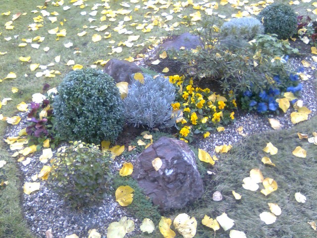 Люба, Россия, Раменское. Фото на сайте ГдеПапа.Ру