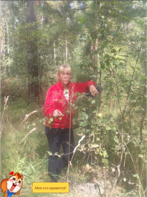 лариса, Россия, Барнаул, 48 лет, 2 ребенка. работаю,люблю спорт