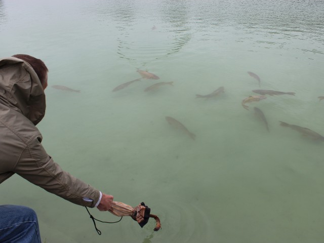 alekcandr, Москва, м. Достоевская. Фото на сайте ГдеПапа.Ру