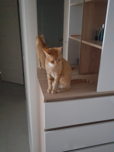 Андрей, Россия, Москва. Фото на сайте ГдеПапа.Ру