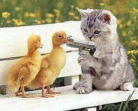 Виживает сильнейший.