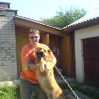 Сергей, Россия, Йошкар-Ола, 43 года