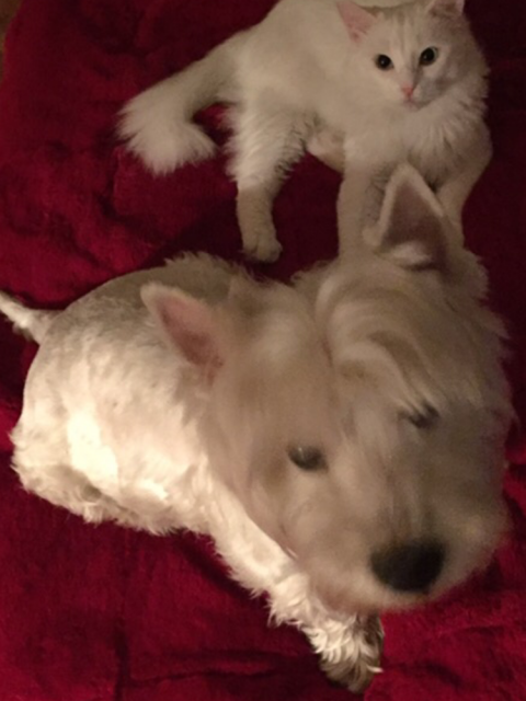 Анна, Россия, Москва. Фото на сайте ГдеПапа.Ру