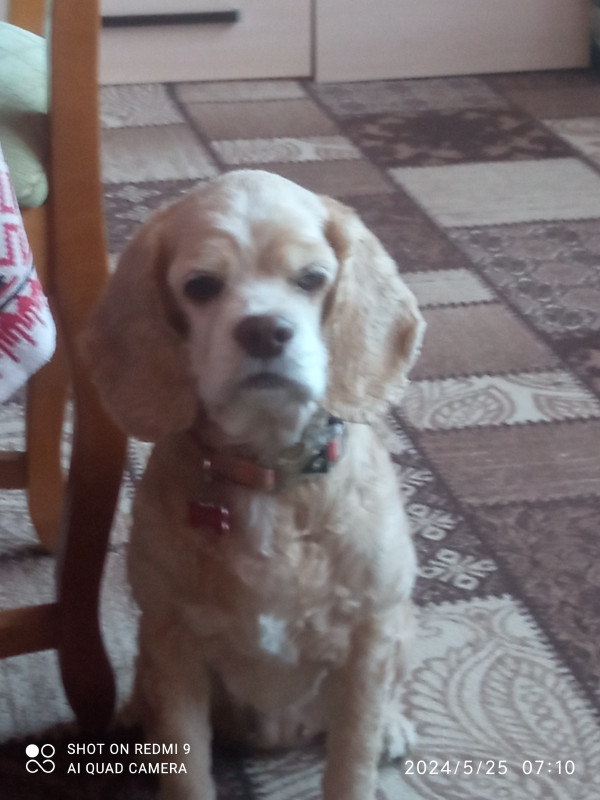 охранная....в ярости дикая...непобедимая...