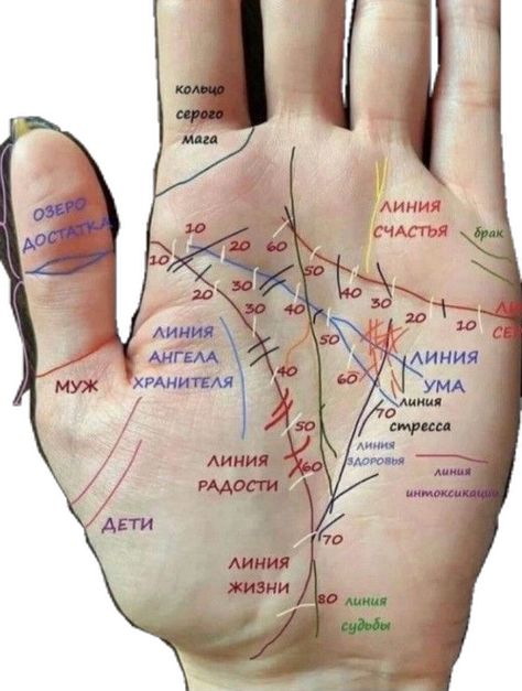 Изучайте ☝