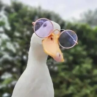 Вот пока купил очки,что б хоть что то видел