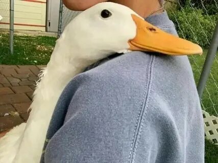 Долгожданная встреча,..ох,сколько было сл?з...