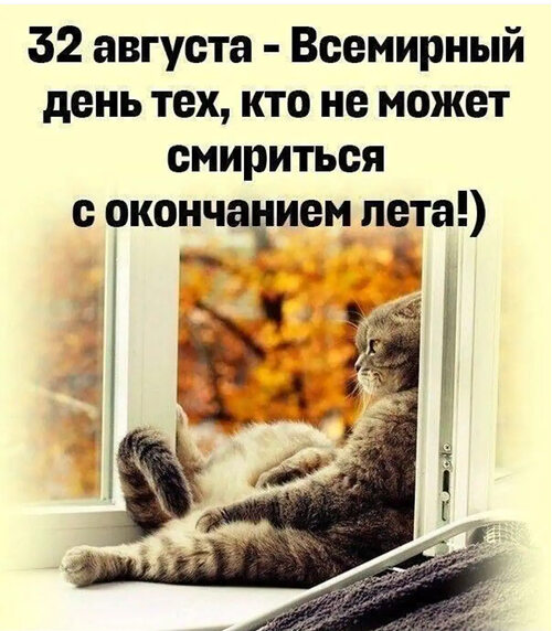 33августа ,тоже протест