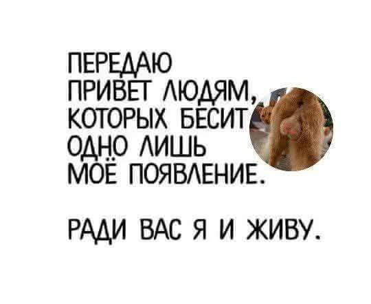 ...как то пропали долбостуки,может проблемы  у них каки...