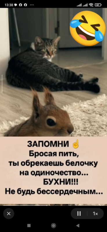 ...сегодня пятница,спаси белочку..