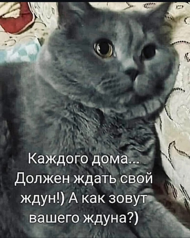 Моего ждуна именуют Алька БАБАНДИТКА (между прочим лучшая собака района)