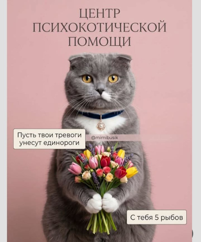 ...можно шоколадов...