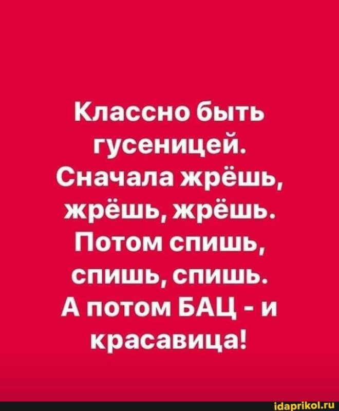 У меня можно сказать всё к этому идёт...жру хорошо,сплю хорошо,...скоро красавцем стану