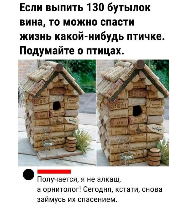 любите птичек..