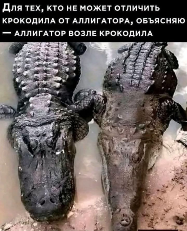 Может кто не знает...так вот вам в помощь..