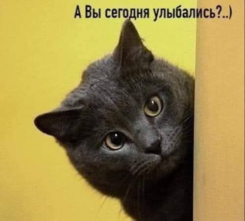 ..не забудьте..
