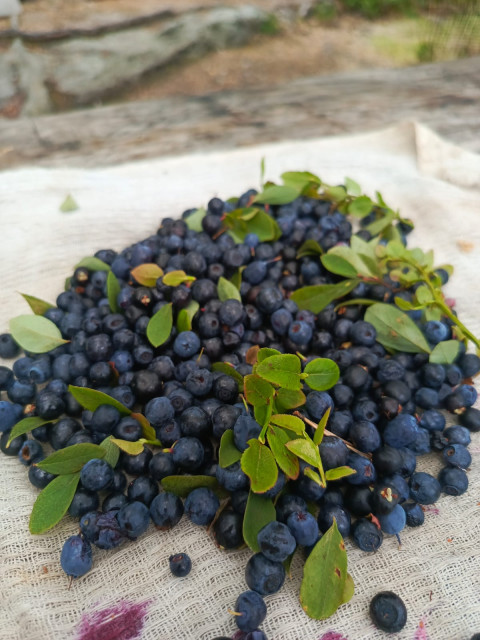 Андрей, Россия, Москва. Фото на сайте ГдеПапа.Ру