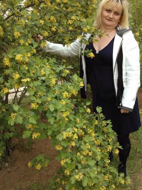 Елена, Россия, Ленинск. Фото на сайте ГдеПапа.Ру