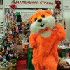 Ксения, Россия, Санкт-Петербург. Фотография 587443