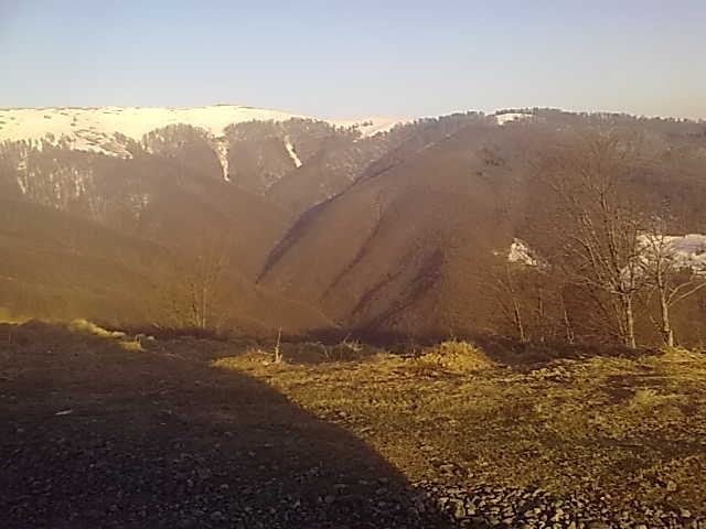 паша, Россия, Москва. Фото на сайте ГдеПапа.Ру