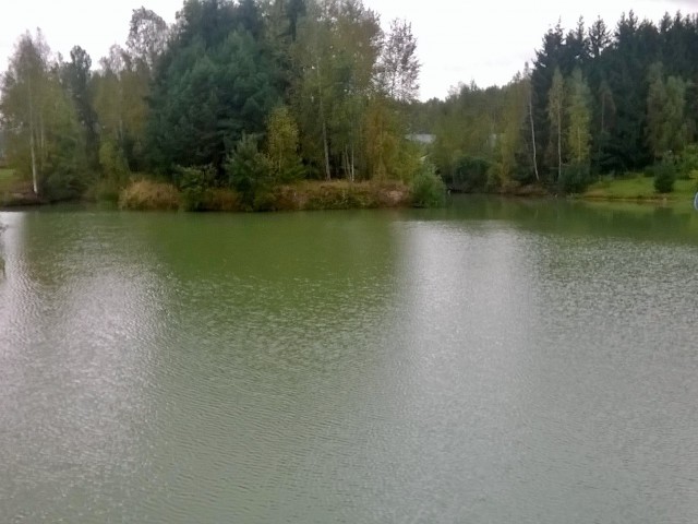 Наше озеро на базе отдыха.
