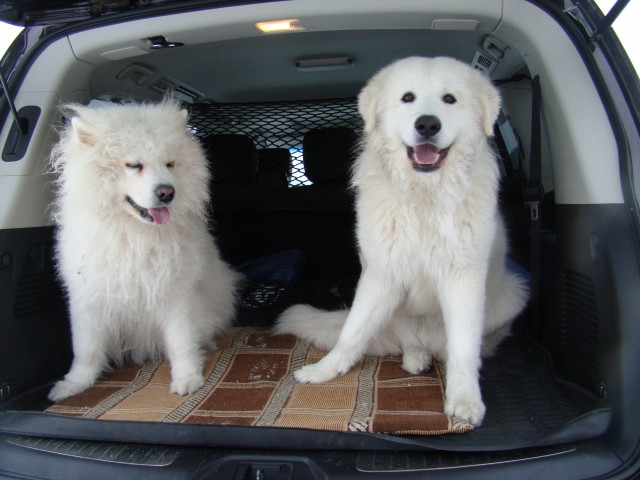 Андрей, Россия, Екатеринбург. Фото на сайте ГдеПапа.Ру